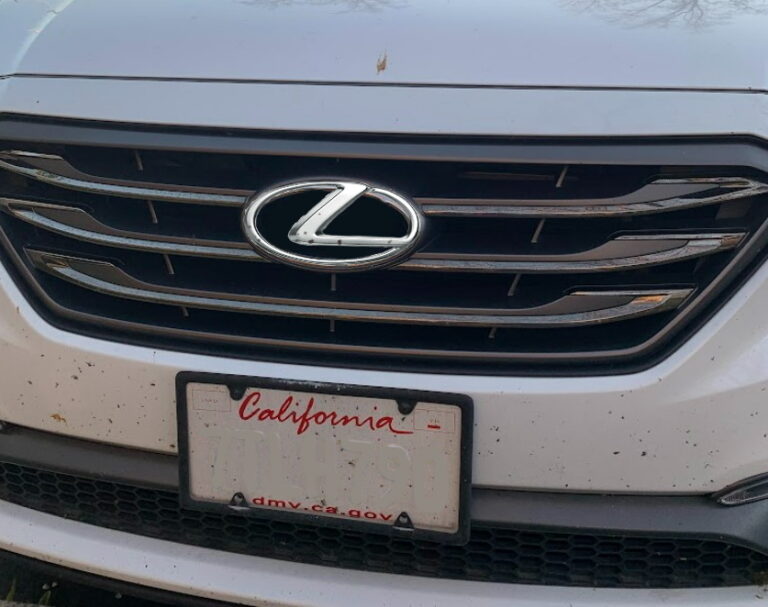 Car-with-bugs-splatters-768x607 (1)